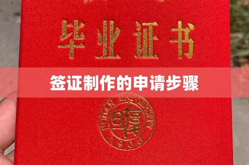 大岭山签证制作的申请步骤
