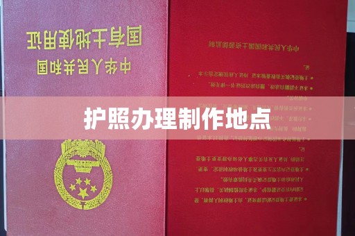 大岭山护照办理制作地点