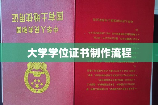 大岭山大学学位证书制作流程